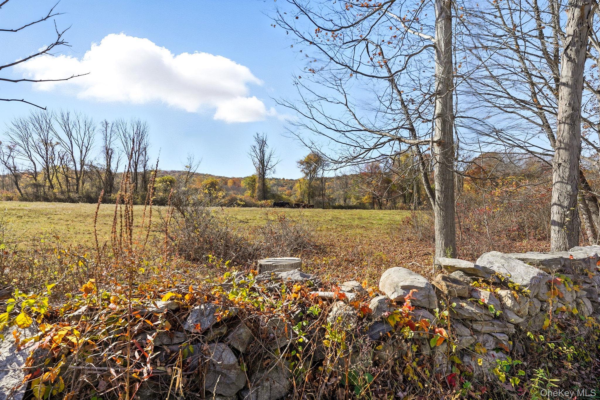 Single Family Cushman  Putnam County, NY 12563, MLS-930476-40