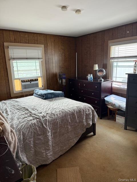 Single Family Gun Nassau County, NY 11756, MLS-930480-13