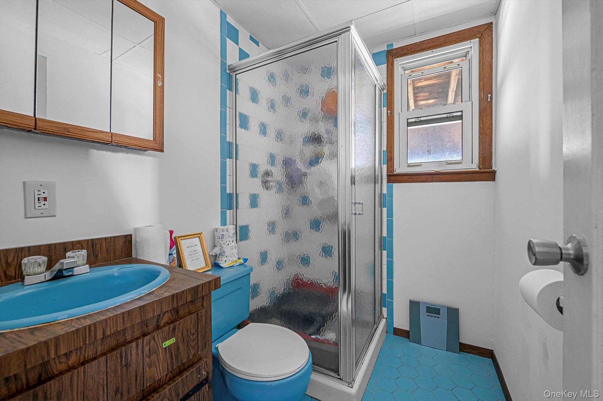 Single Family Bright  Nassau County, NY 11554, MLS-930482-8