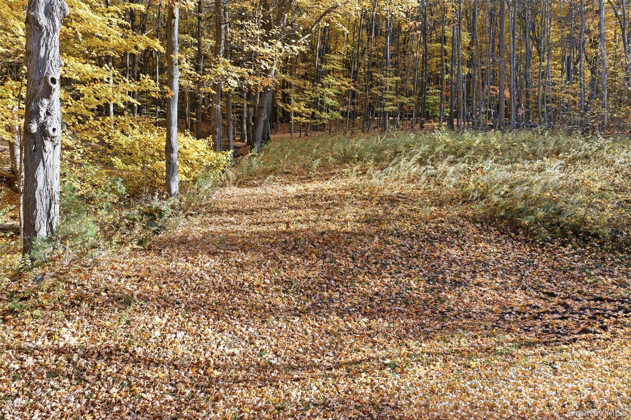 Single Family Brian  Orange County, NY 12577, MLS-930488-23