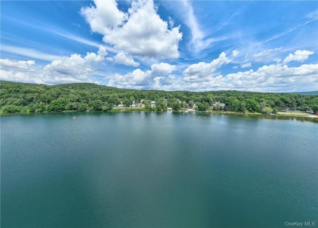 Coop Hibiscus Cir  Dutchess County, NY 12533, MLS-930511-14