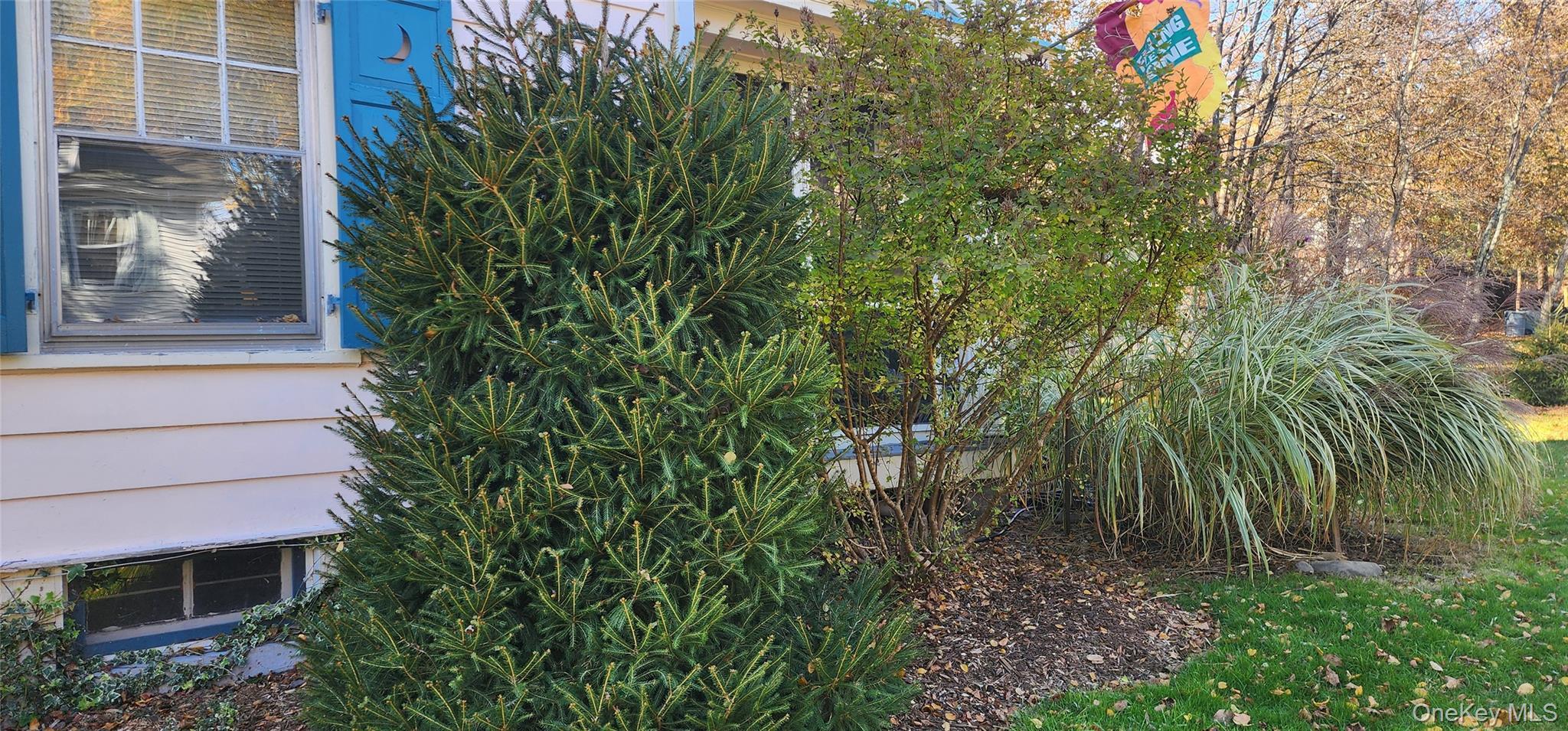 Single Family Ann  Sullivan County, NY 12701, MLS-930512-5