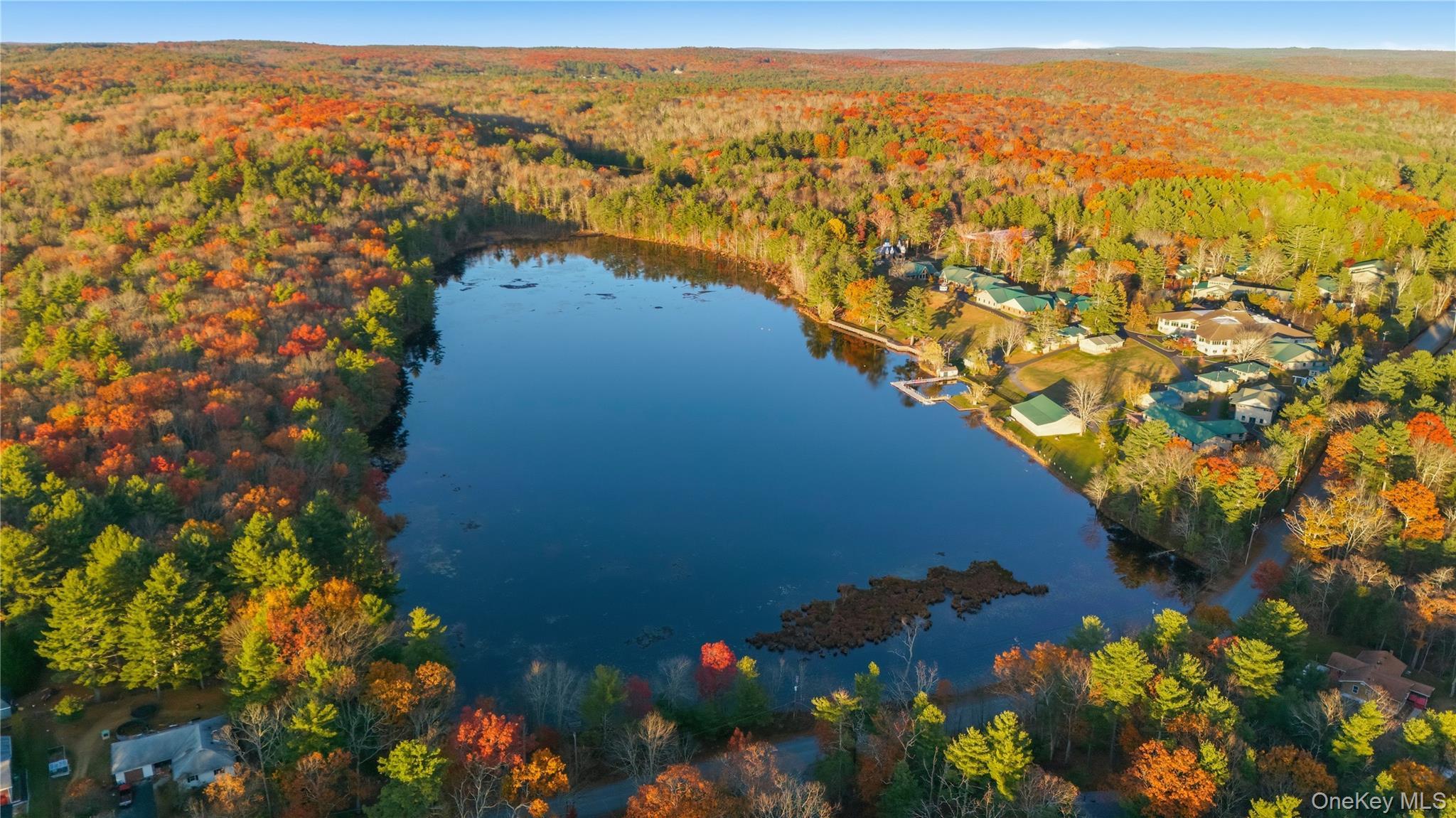 Single Family White Sullivan County, NY 12737, MLS-930543-11