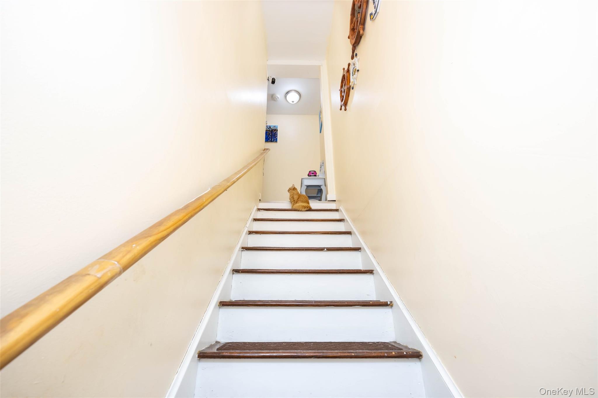 Single Family Orchard  Westchester County, NY 10703, MLS-930603-13