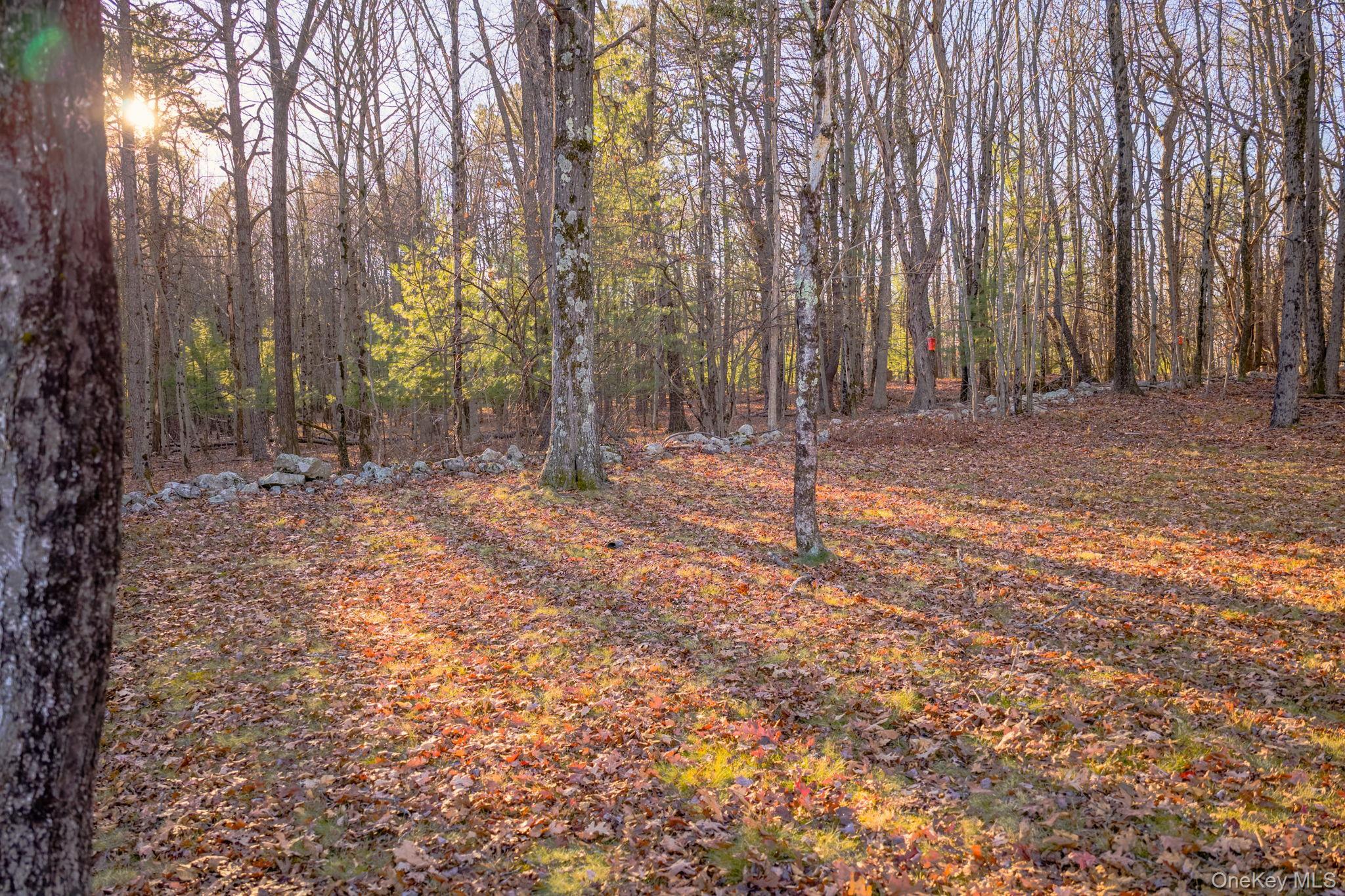 Single Family Highview  Sullivan County, NY 12721, MLS-930791-46