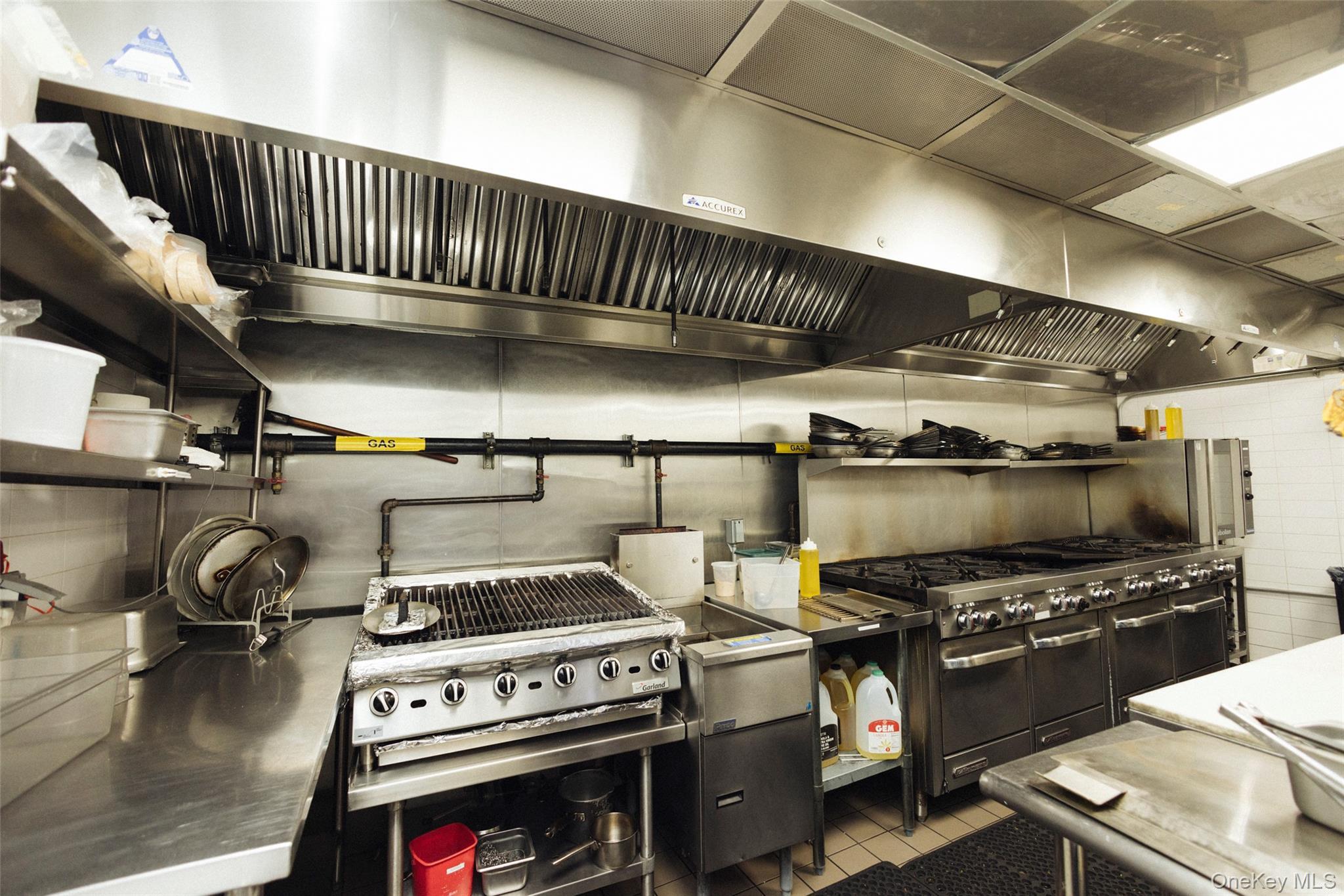 Business Opportunity Starr  Brooklyn, NY 11237, MLS-930822-13