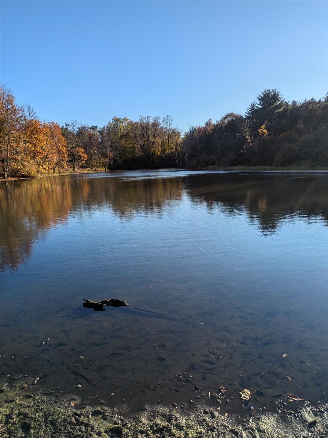 Single Family Glen  Ulster County, NY 12401, MLS-930837-10