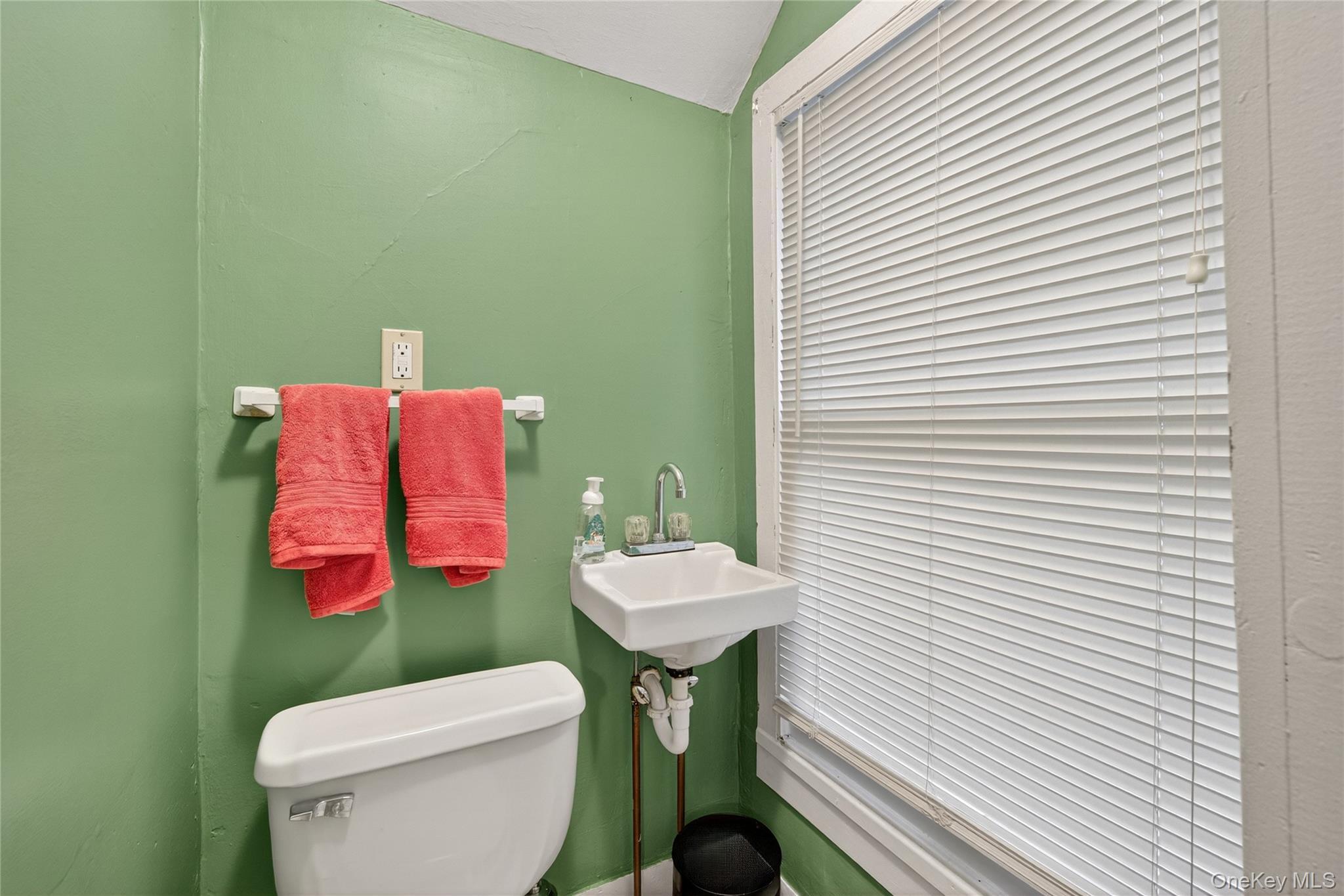 Single Family Dewitt Ulster County, NY 12401, MLS-930865-28