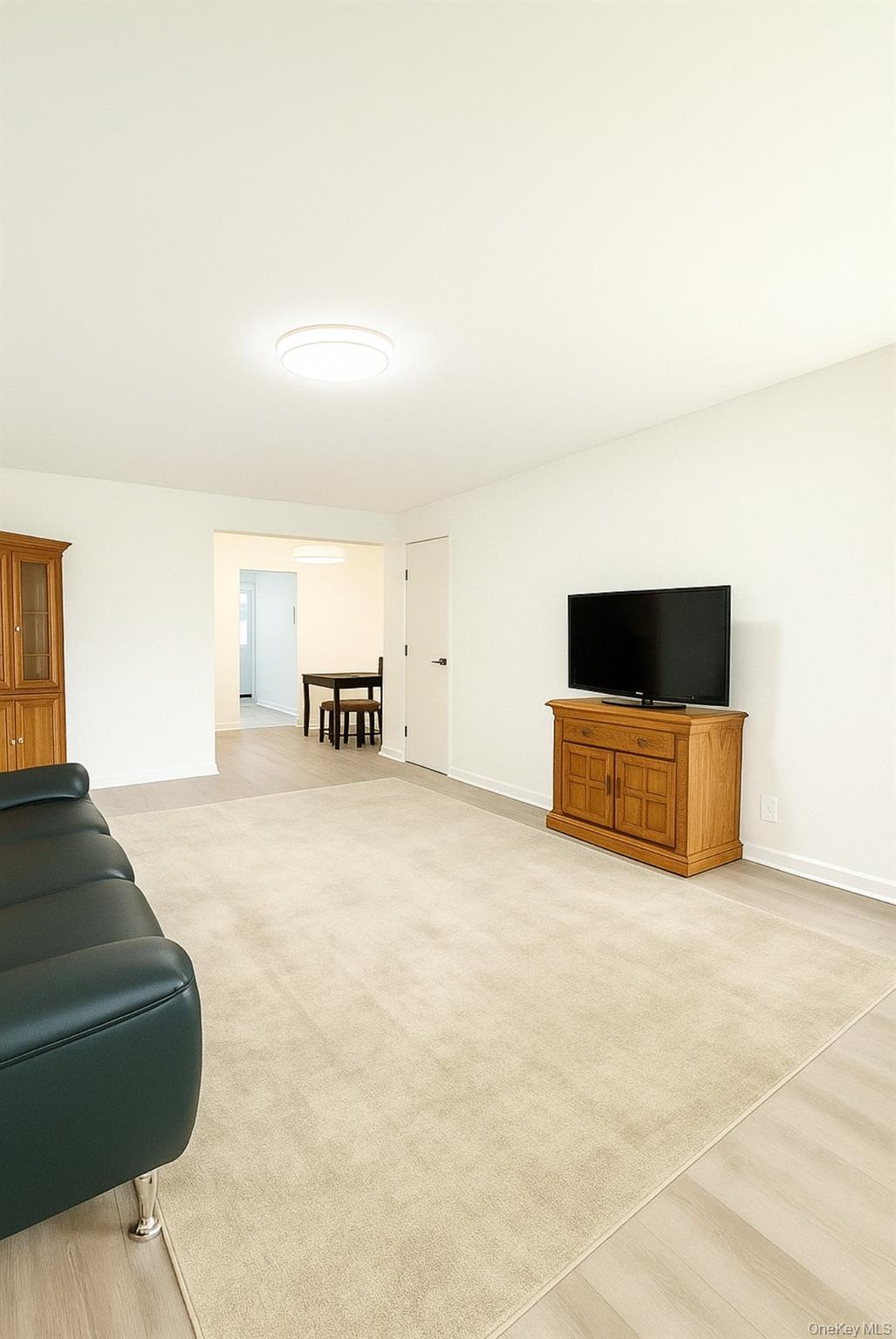 Coop 150  Queens, NY 11367, MLS-930978-3