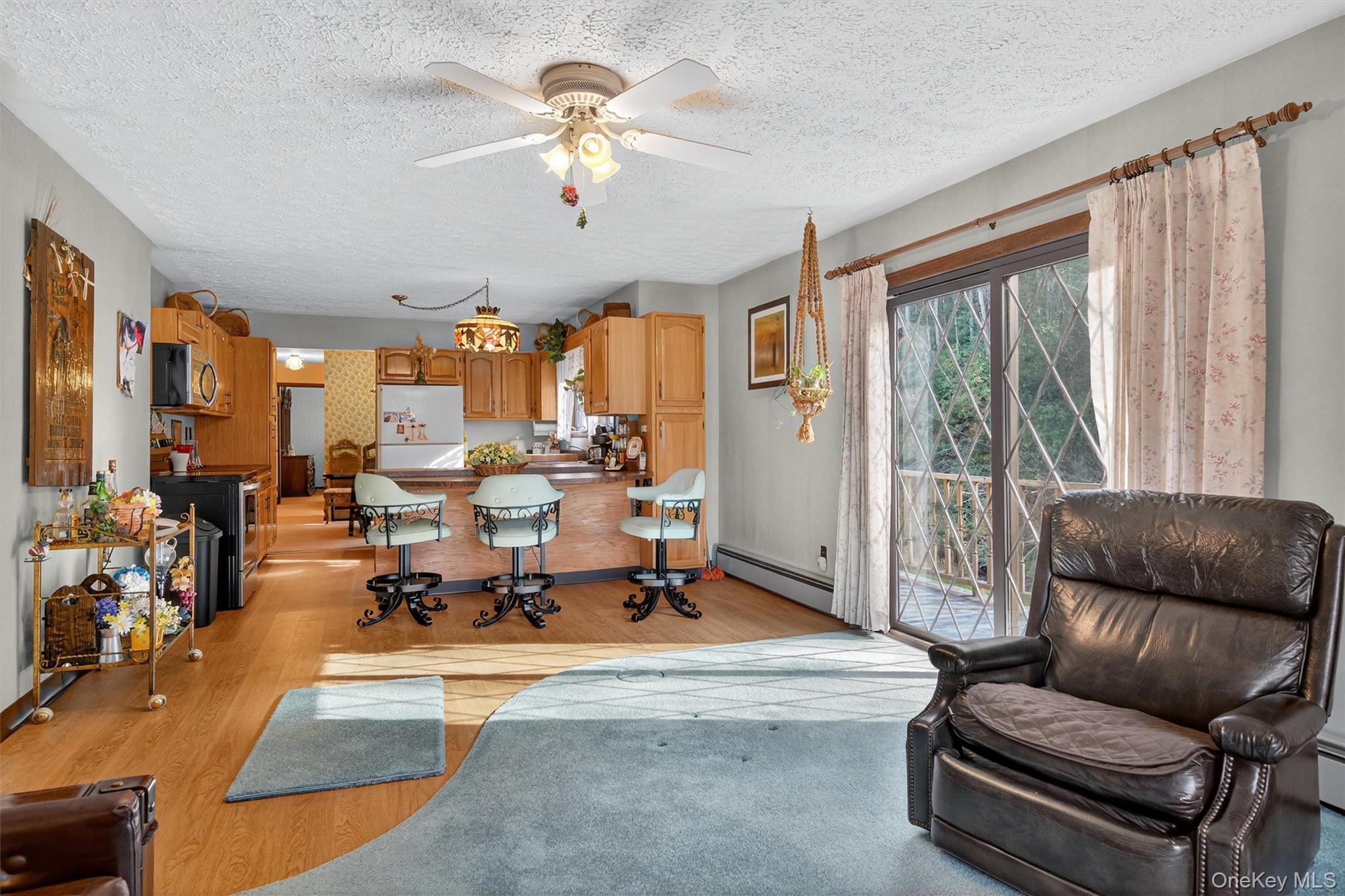 Single Family State Route 42 Orange County, NY 12780, MLS-930988-13