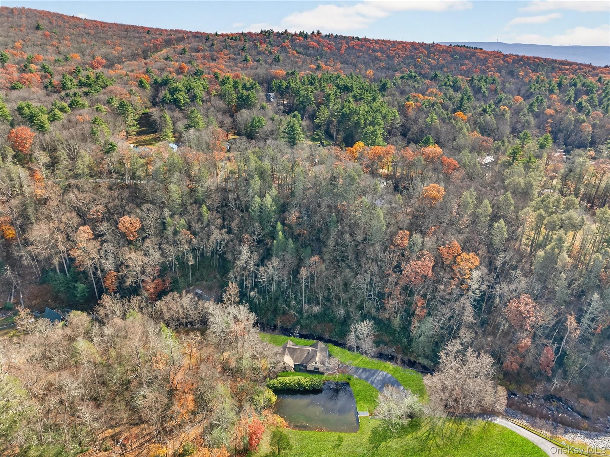 Single Family State Route 42 Orange County, NY 12780, MLS-930988-36