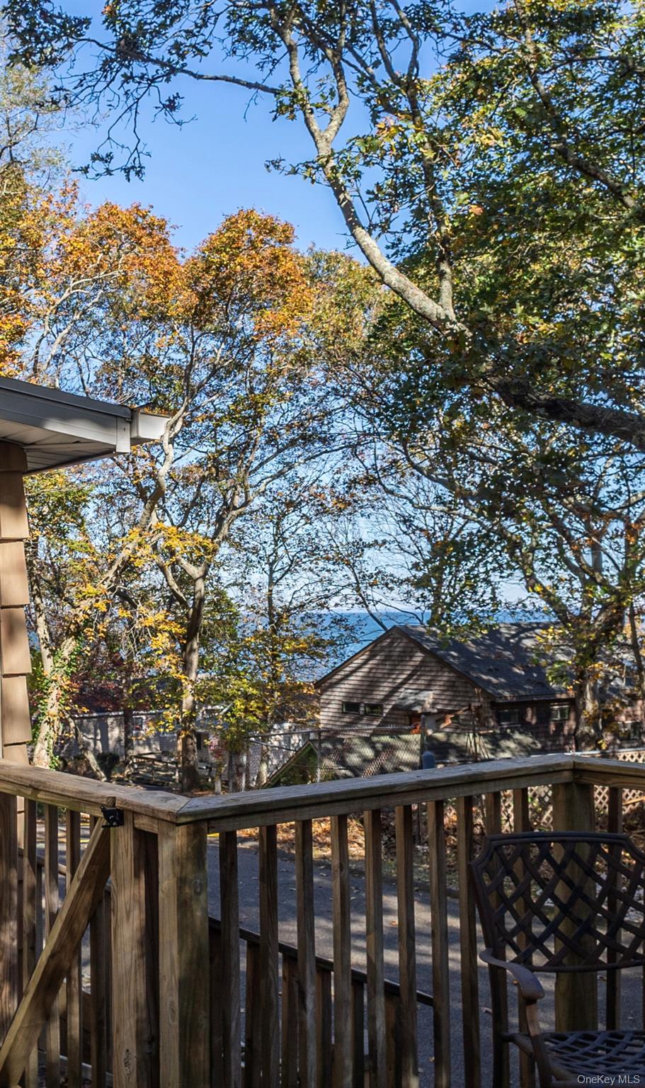 Single Family Schooner  Suffolk County, NY 11933, MLS-931046-3