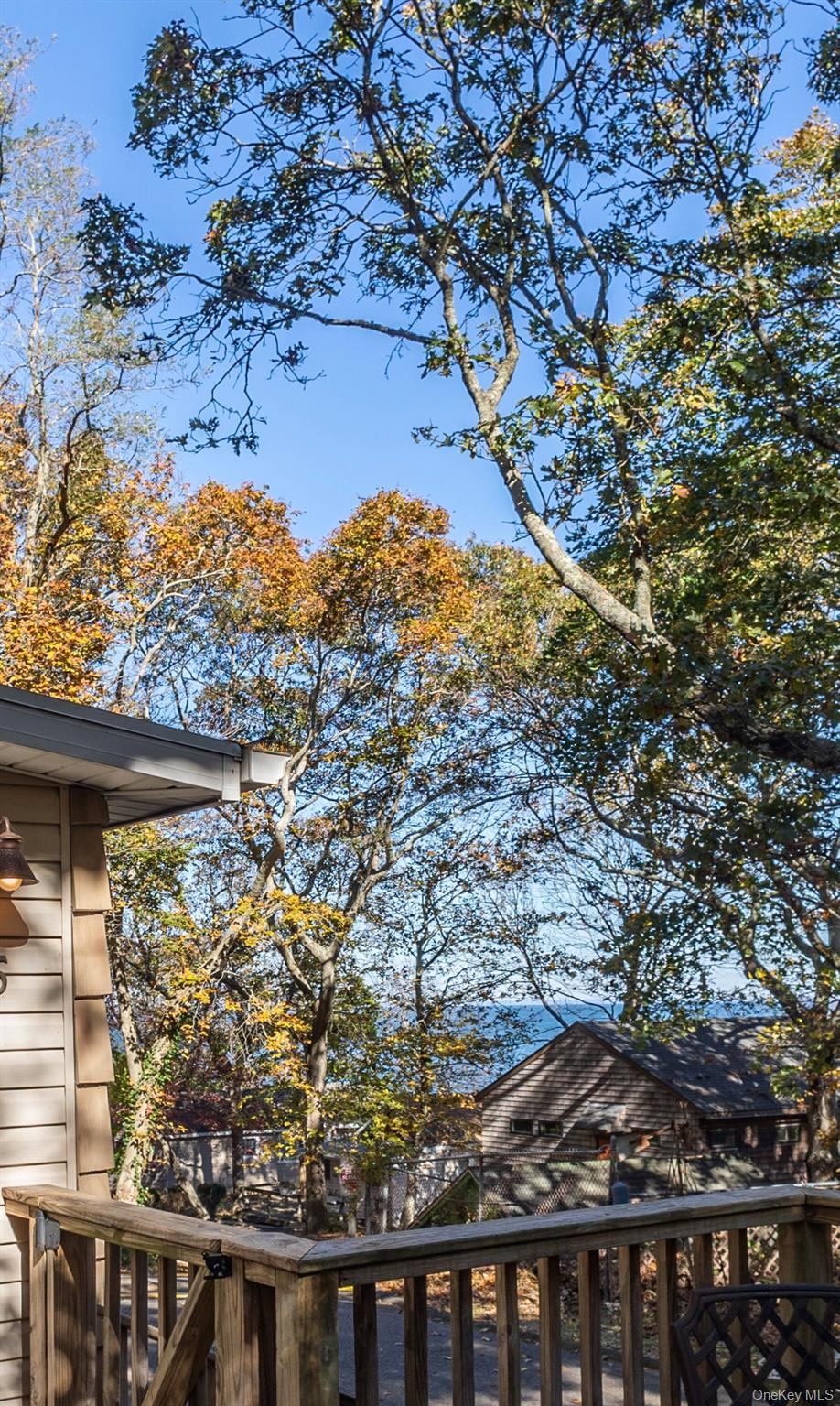 Single Family Schooner  Suffolk County, NY 11933, MLS-931046-4