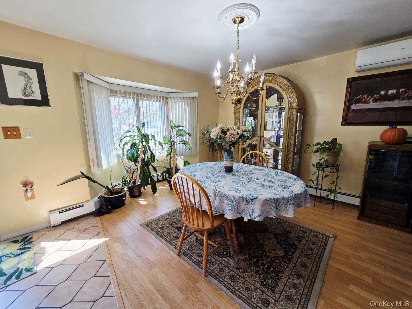 Single Family Curve  Nassau County, NY 11756, MLS-931079-6