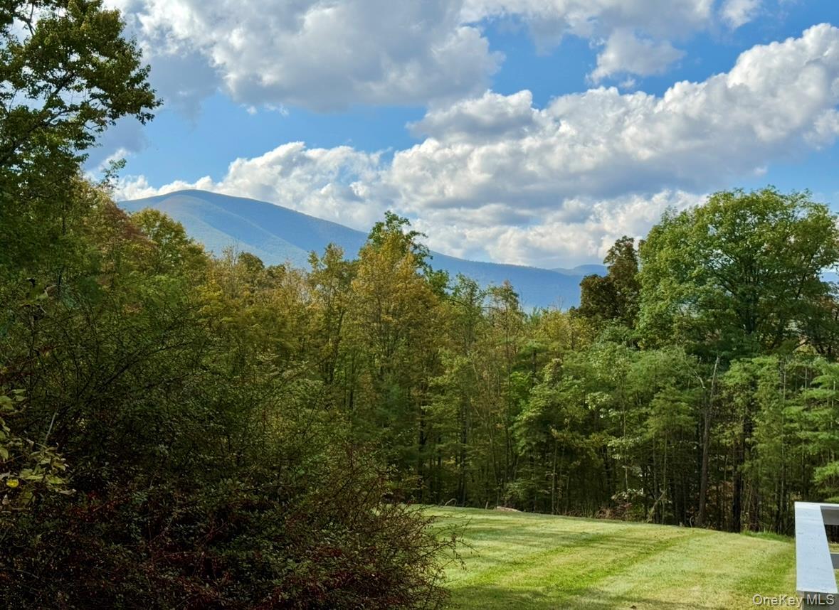 Single Family State Route 213  Ulster County, NY 12461, MLS-931088-2