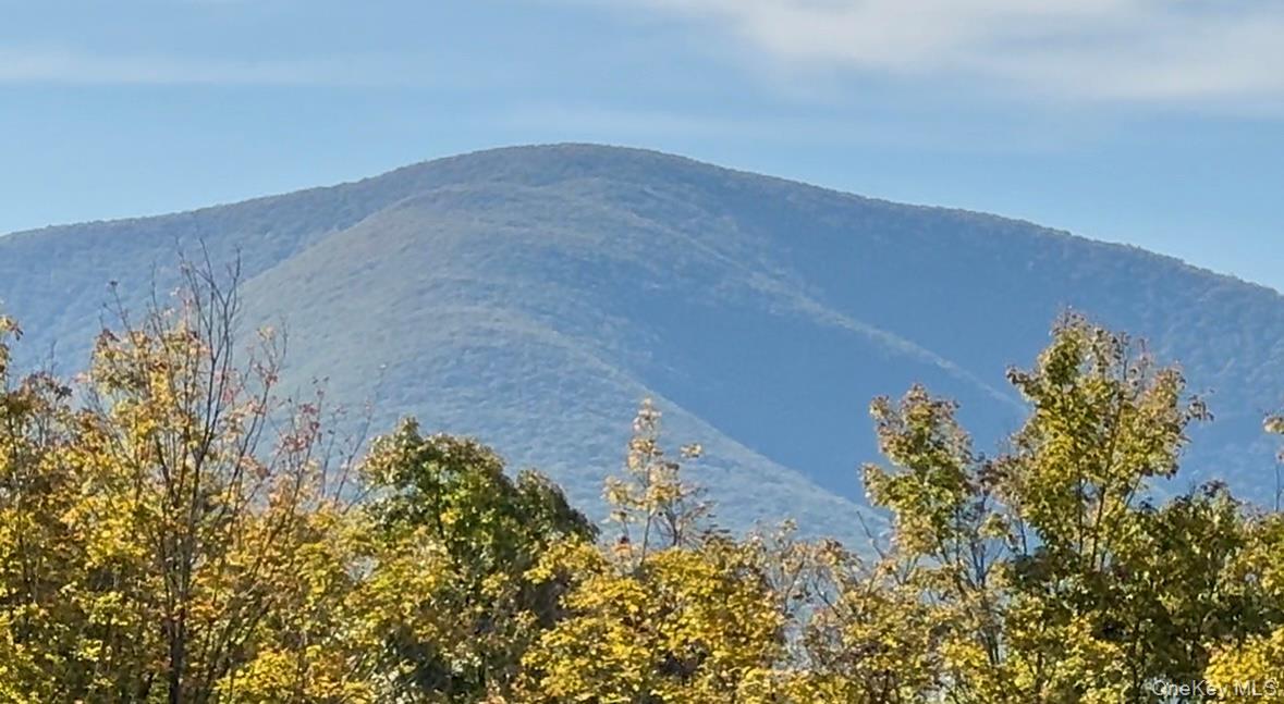 Single Family State Route 213  Ulster County, NY 12461, MLS-931088-38