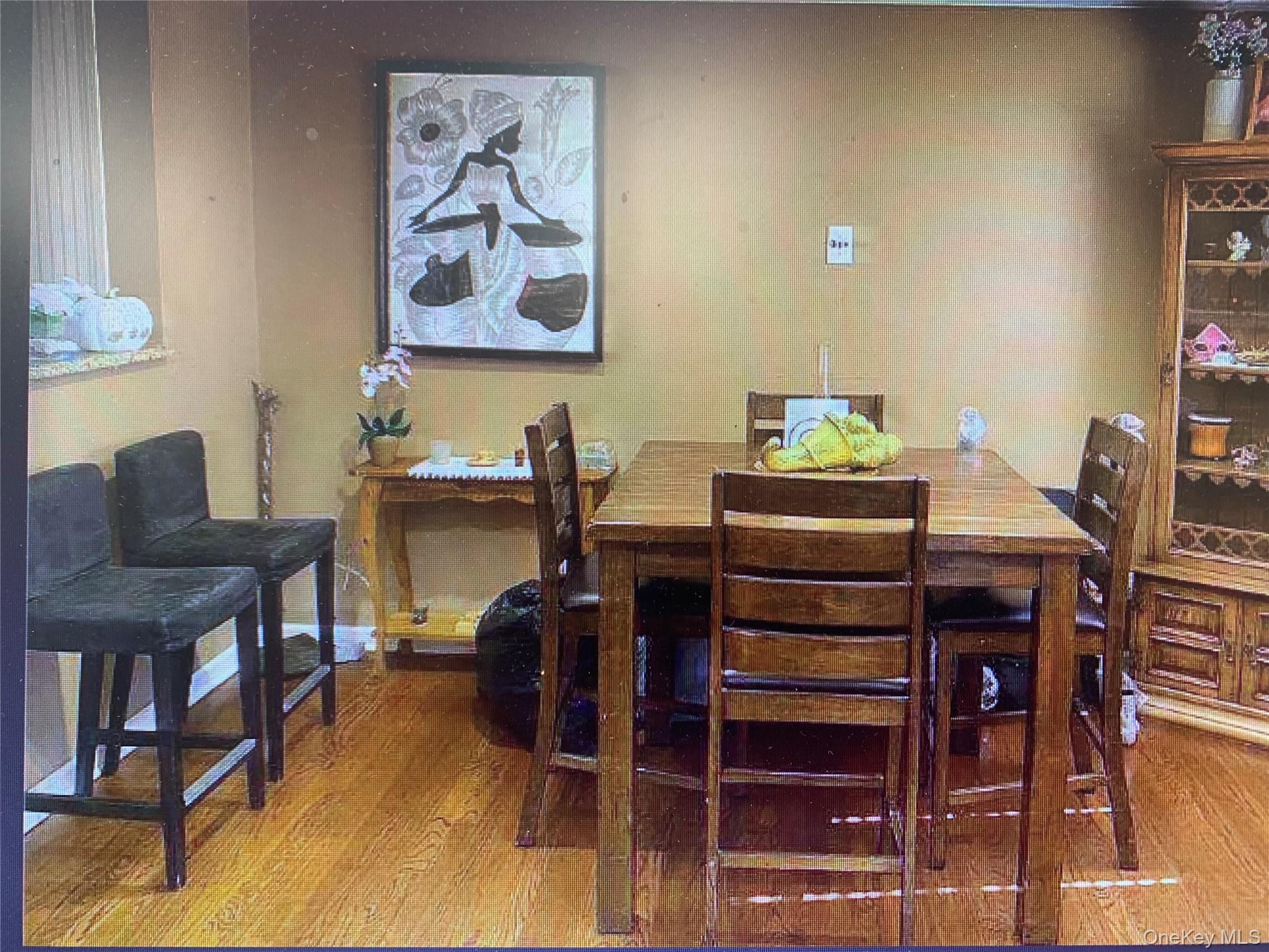 Single Family Robert Nassau County, NY 11520, MLS-931094-2