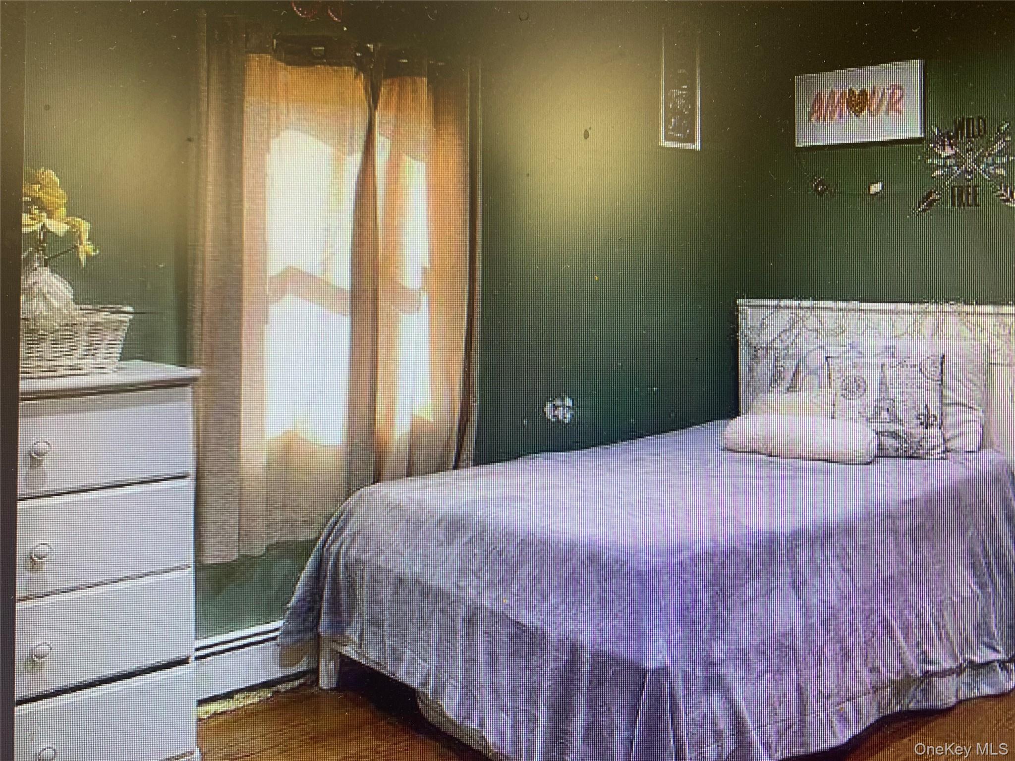 Single Family Robert Nassau County, NY 11520, MLS-931094-7