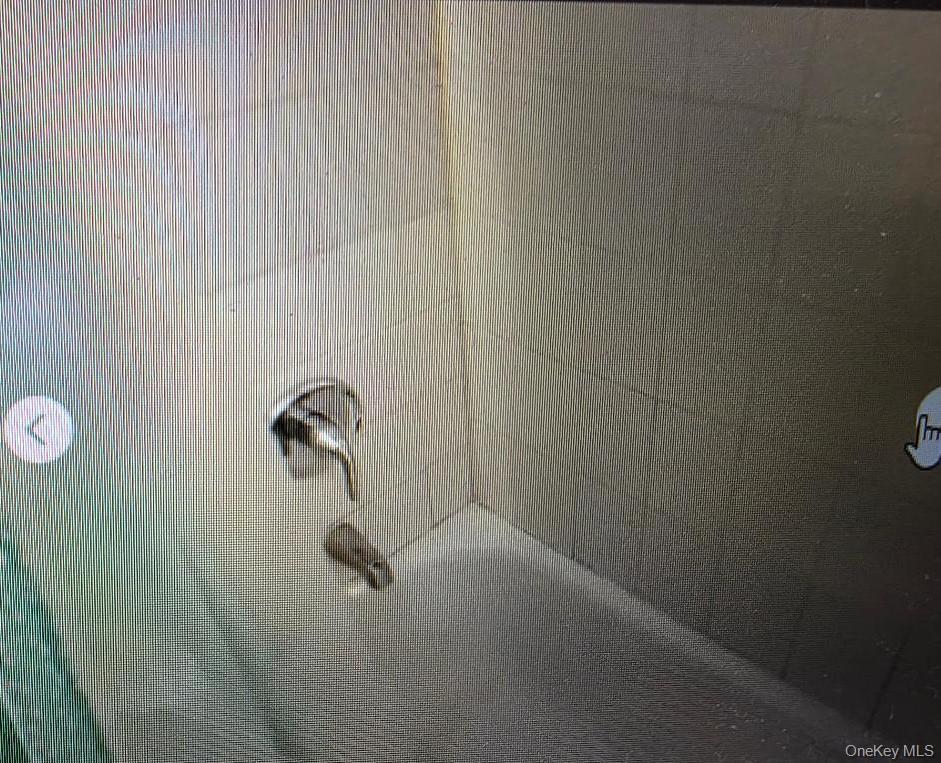 Single Family Forest  Suffolk County, NY 11779, MLS-931095-18