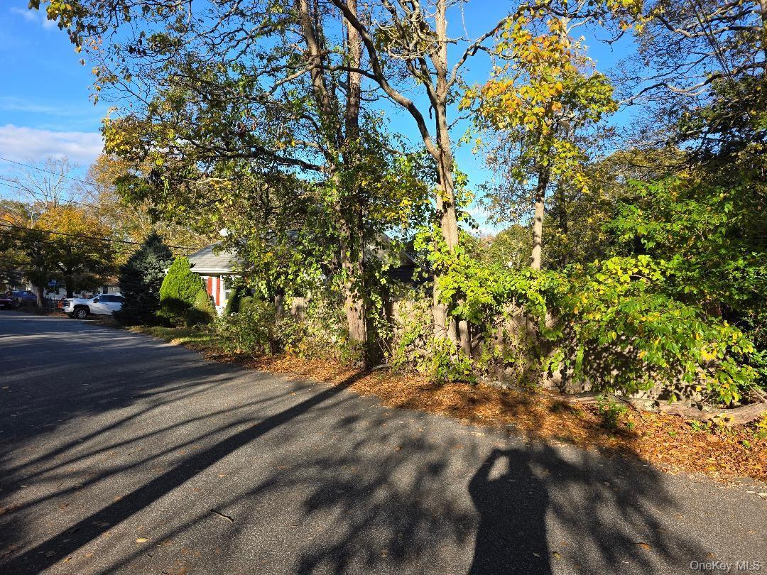 Single Family Forest  Suffolk County, NY 11779, MLS-931095-34