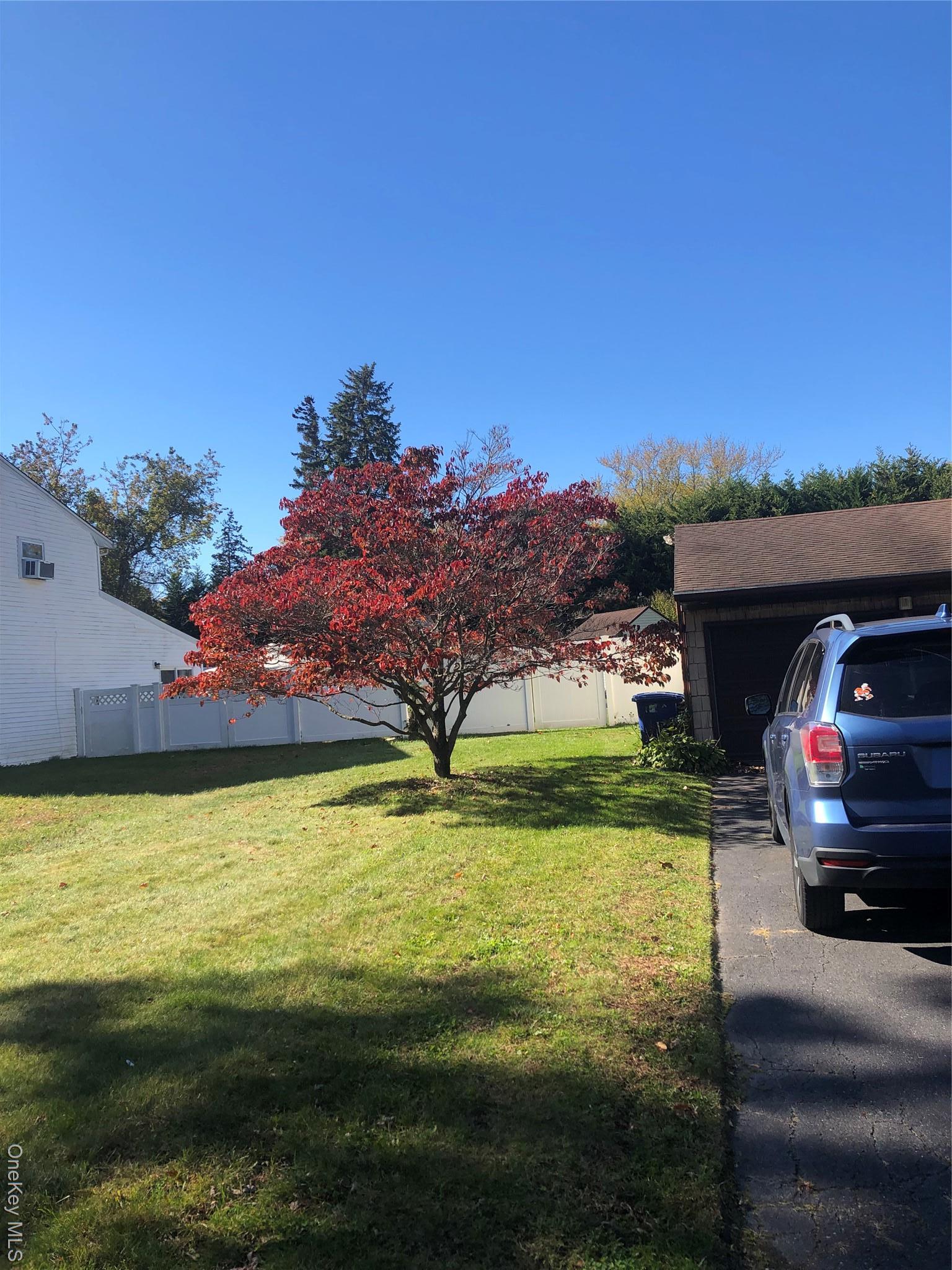 Single Family Nadine  Suffolk County, NY 11776, MLS-931164-5
