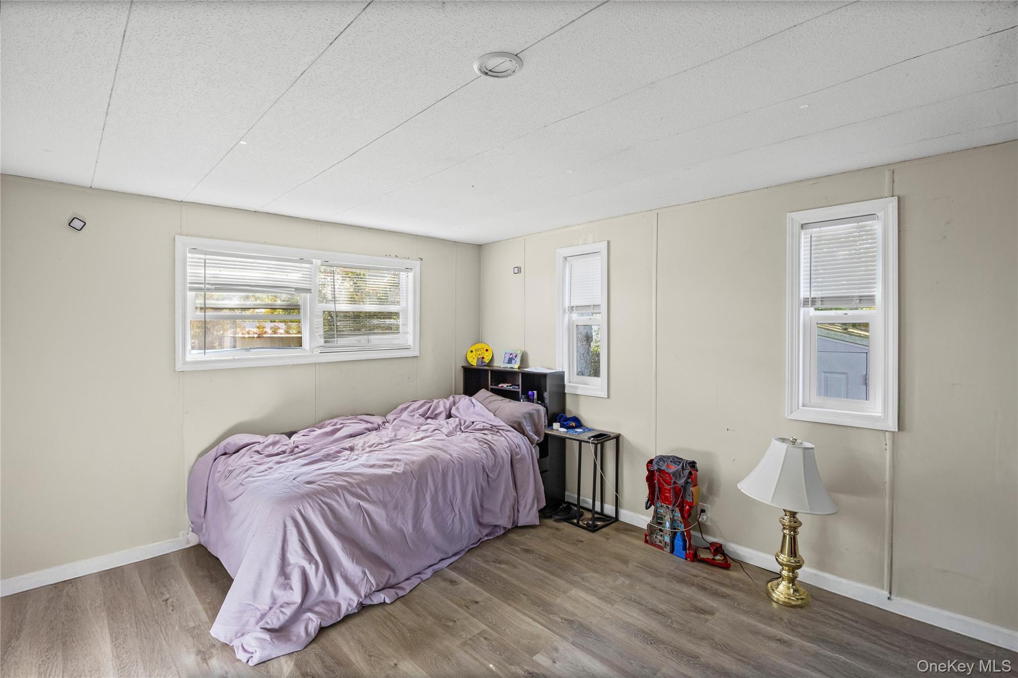 Single Family Buttercup Dr  Suffolk County, NY 11716, MLS-931250-17