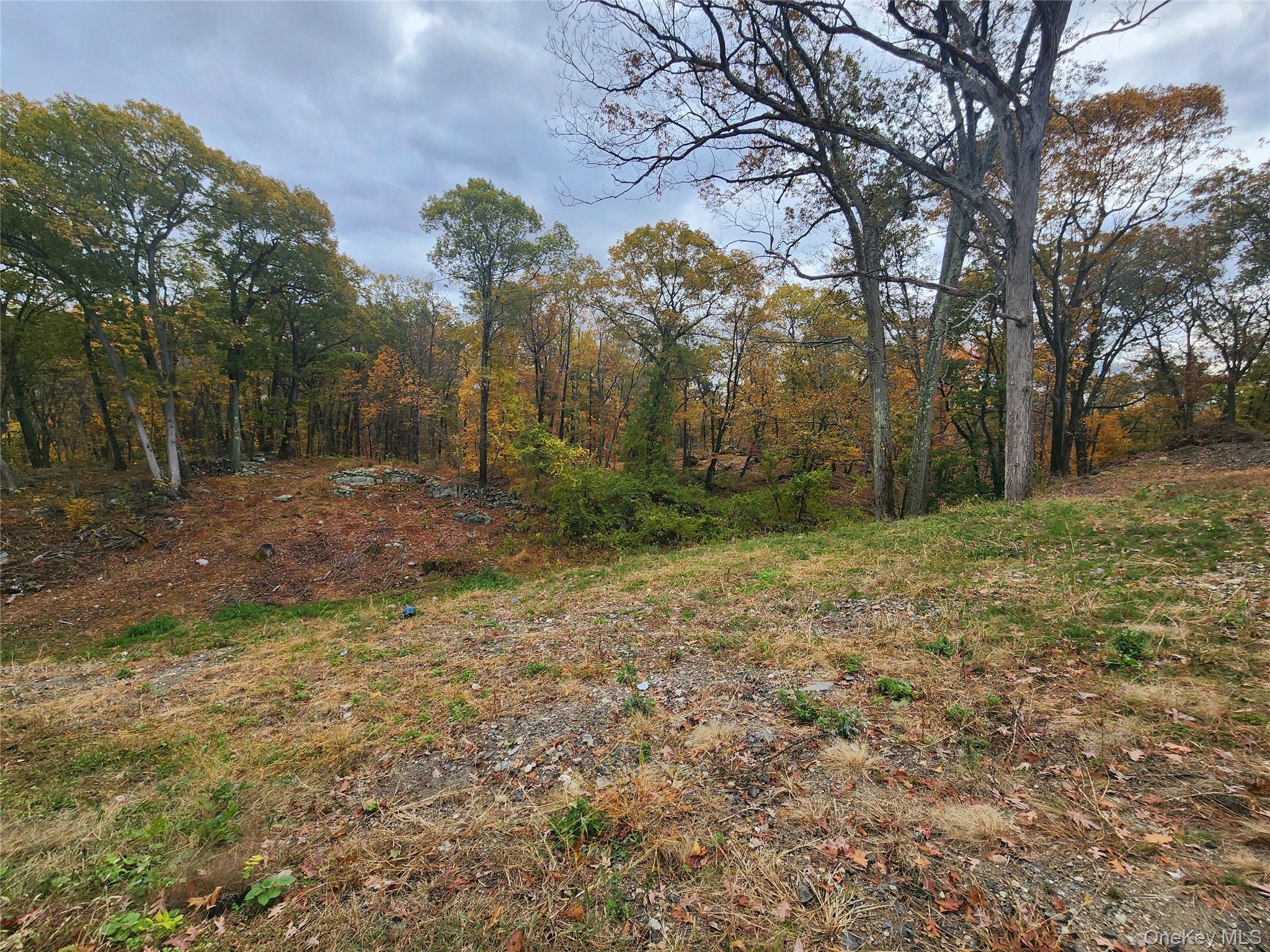 Single Family Upland Putnam County, NY 10524, MLS-931278-6