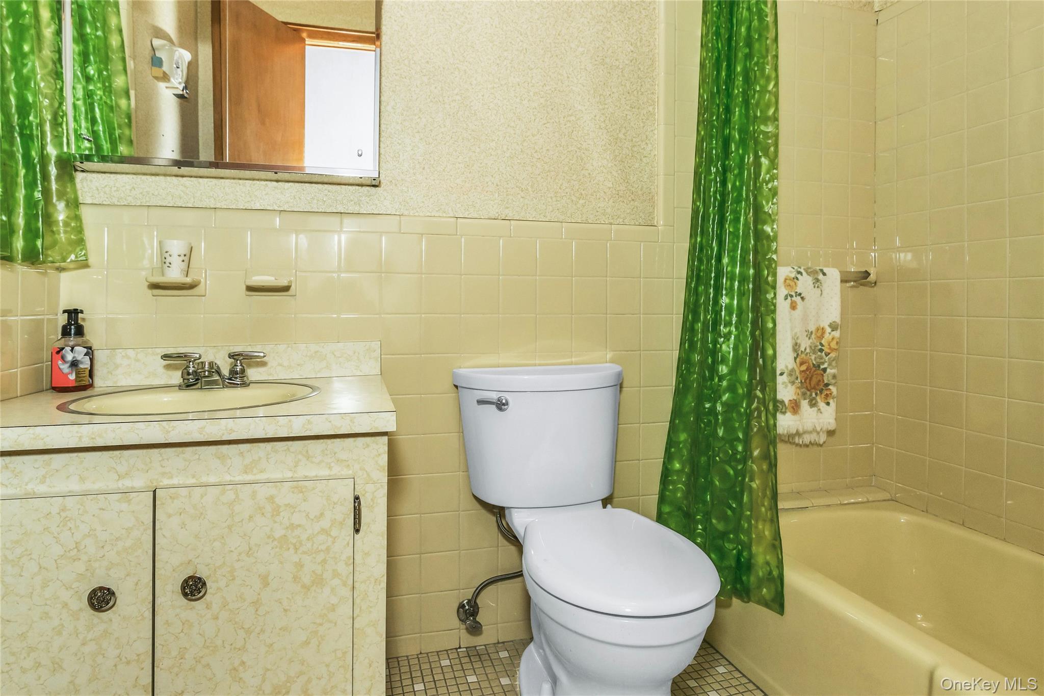 Single Family 56th  Queens, NY 11378, MLS-931324-17