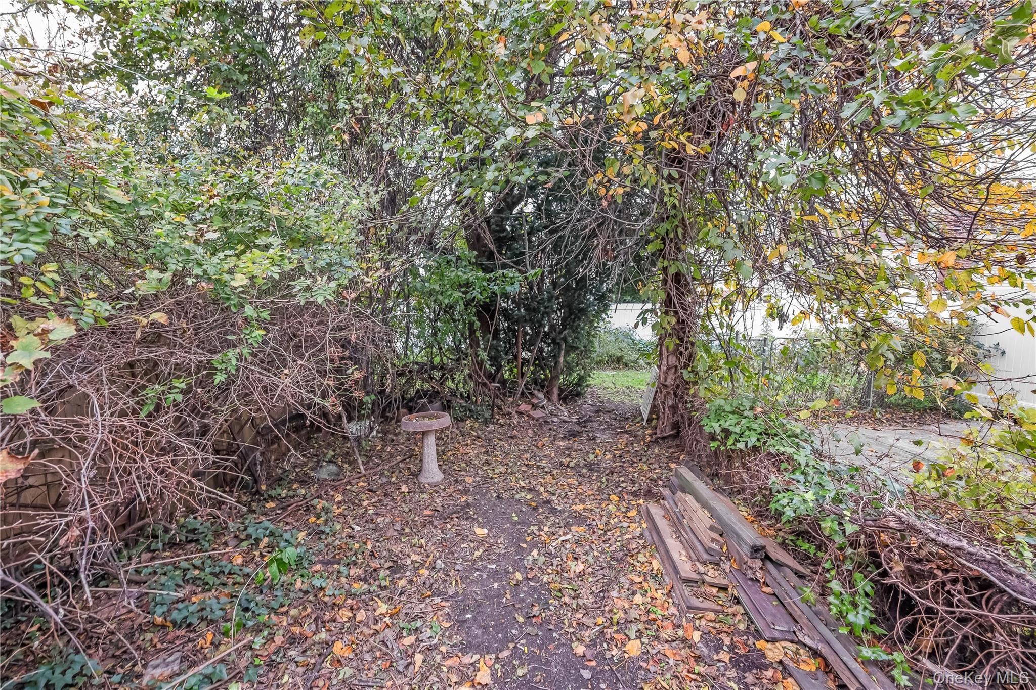 Single Family 144th Queens, NY 11357, MLS-931335-27