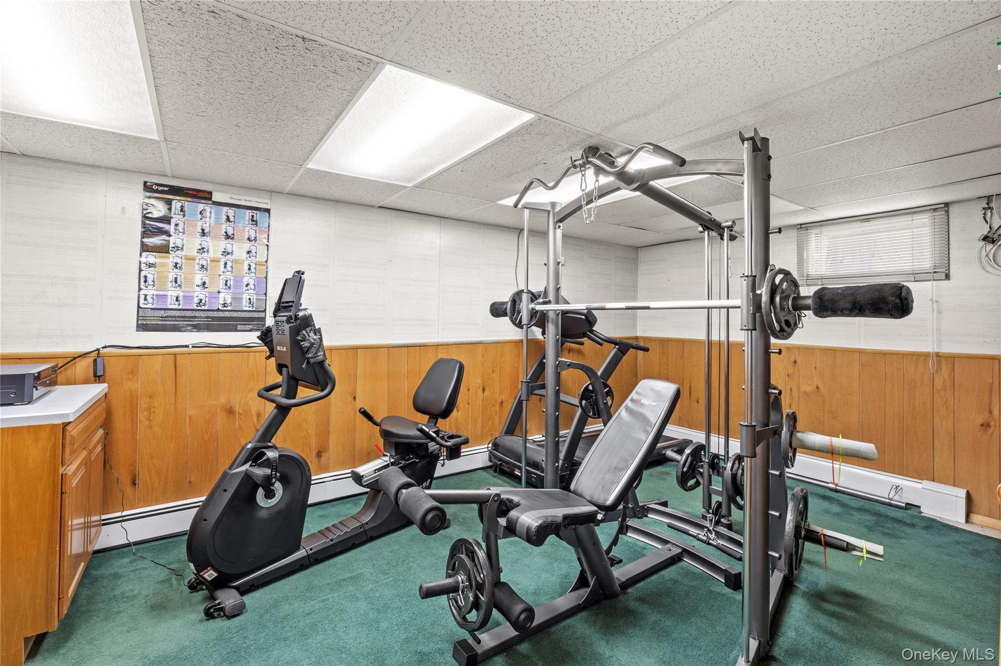 Single Family Lisa Suffolk County, NY 11763, MLS-931342-25