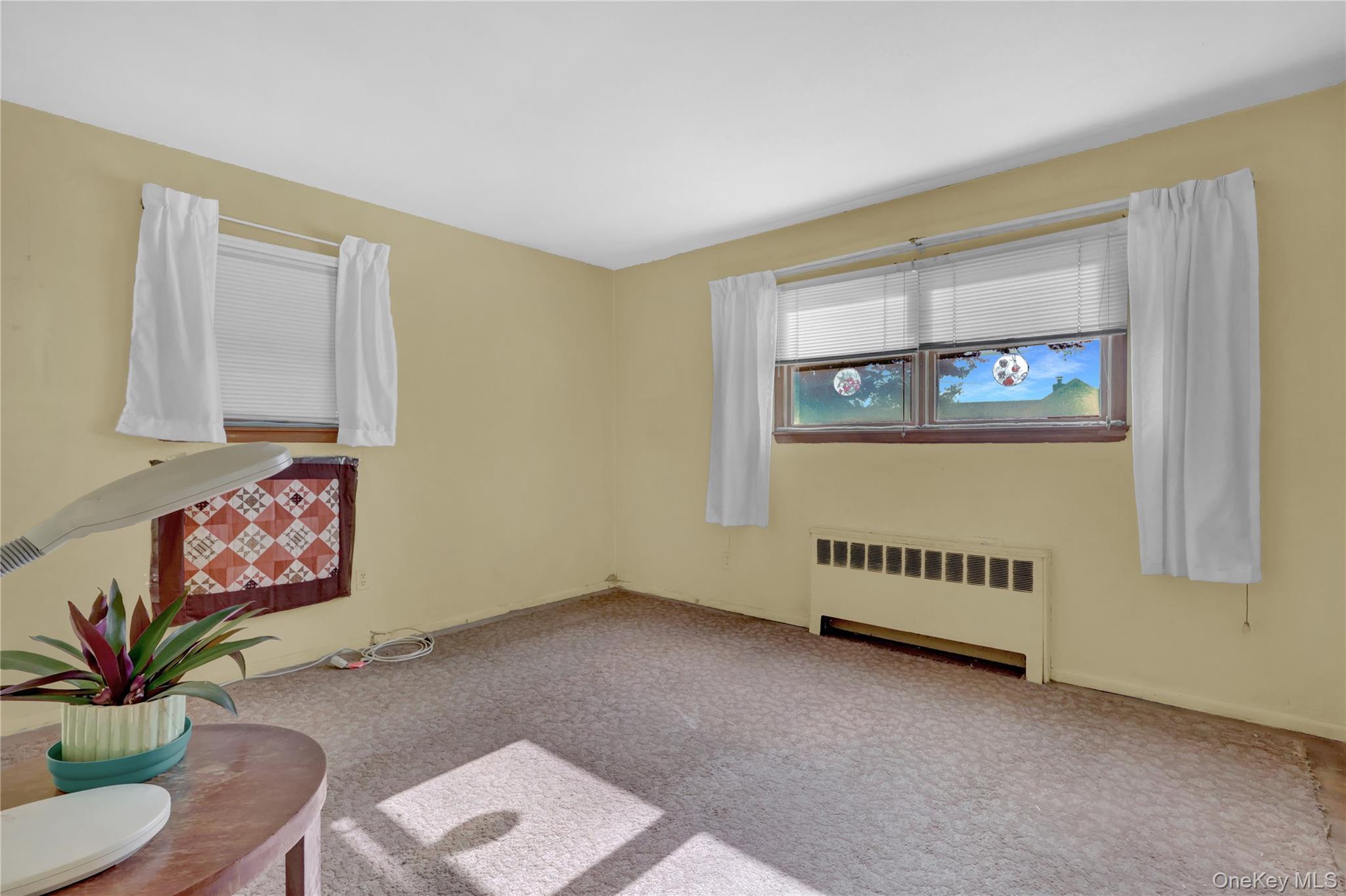 Single Family Poplar Nassau County, NY 11758, MLS-931394-21