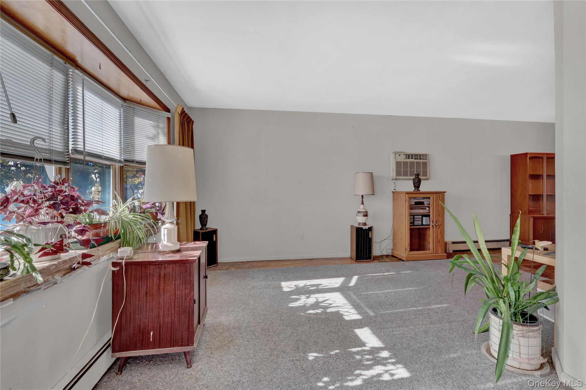 Single Family Poplar Nassau County, NY 11758, MLS-931394-9