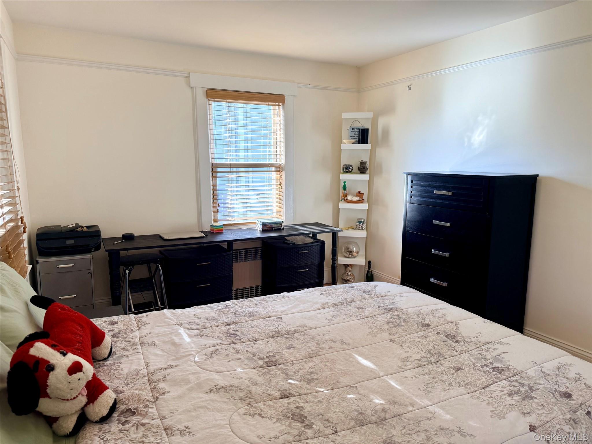 Single Family School  Nassau County, NY 11050, MLS-931409-13