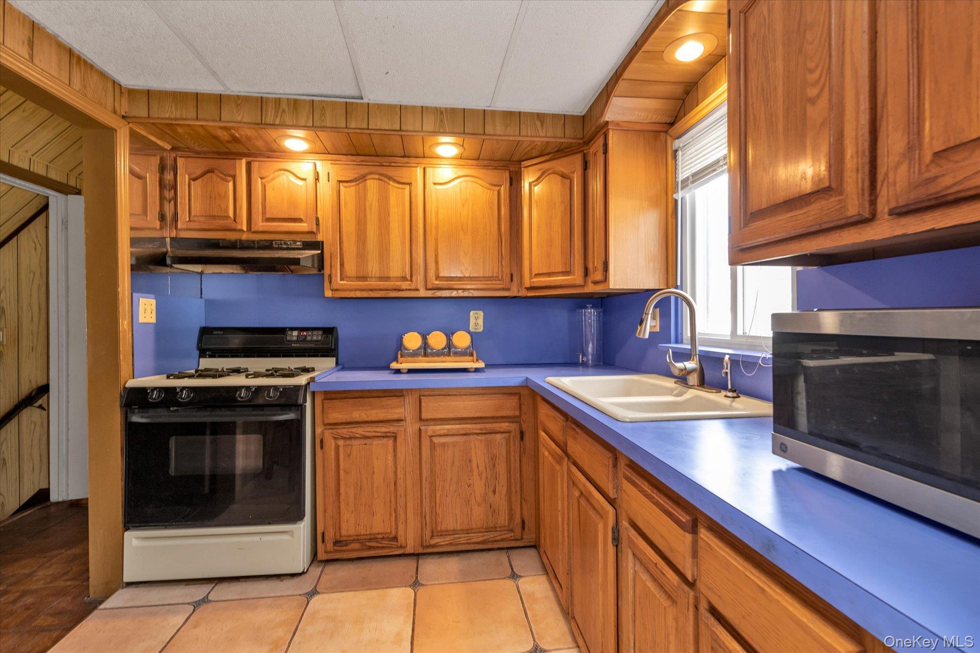 Single Family Ruxton Nassau County, NY 11553, MLS-931436-5