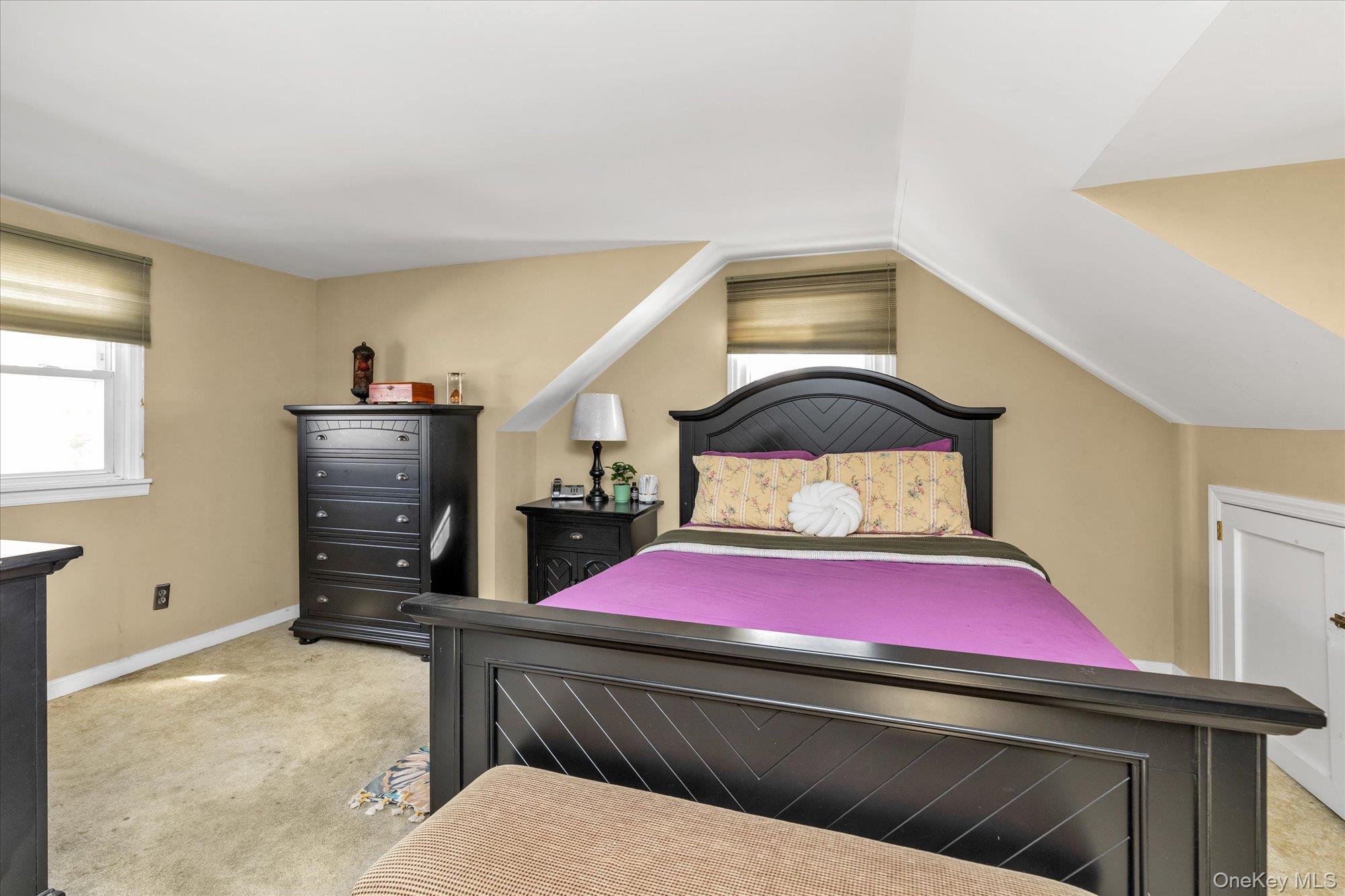 Single Family Ruxton Nassau County, NY 11553, MLS-931436-7