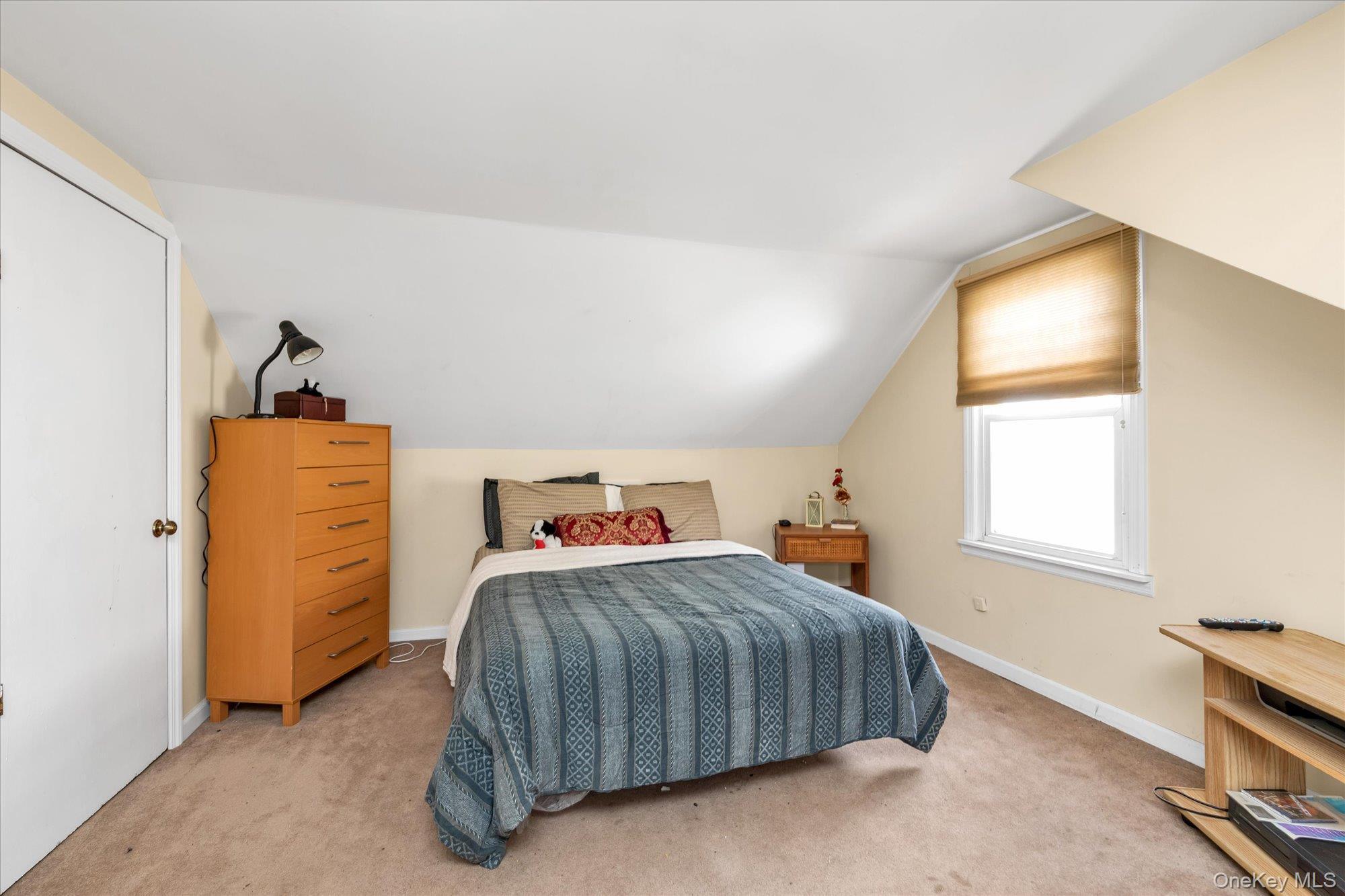 Single Family Ruxton Nassau County, NY 11553, MLS-931436-9