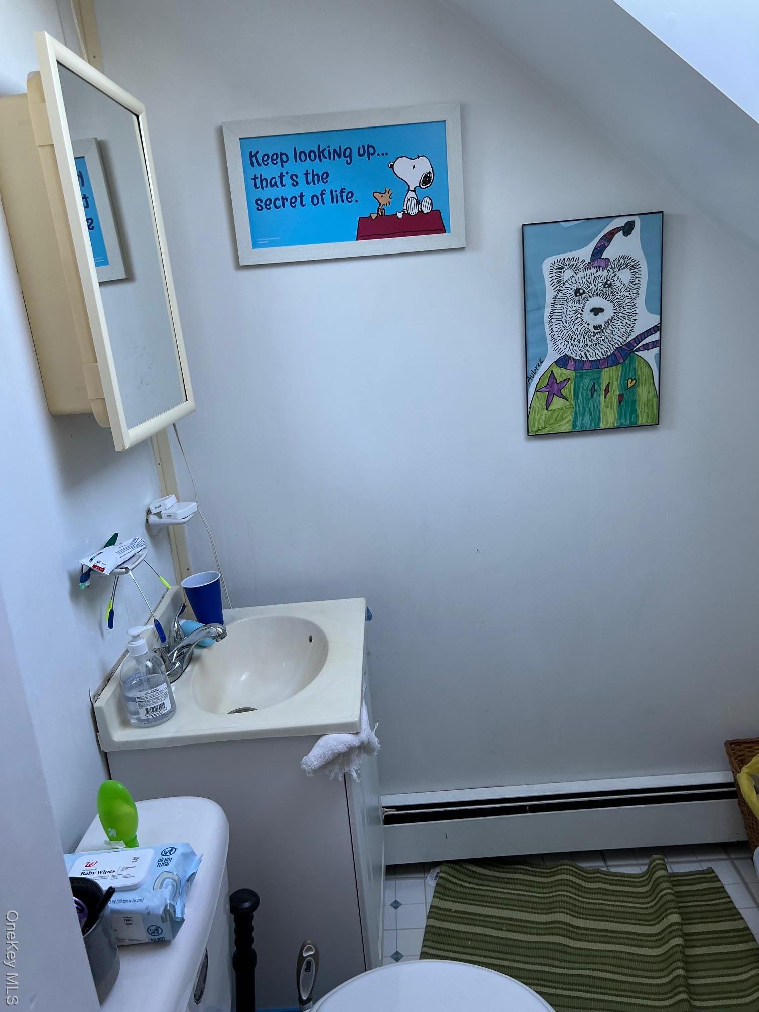 Single Family Sugar Maple  Nassau County, NY 11756, MLS-931465-12