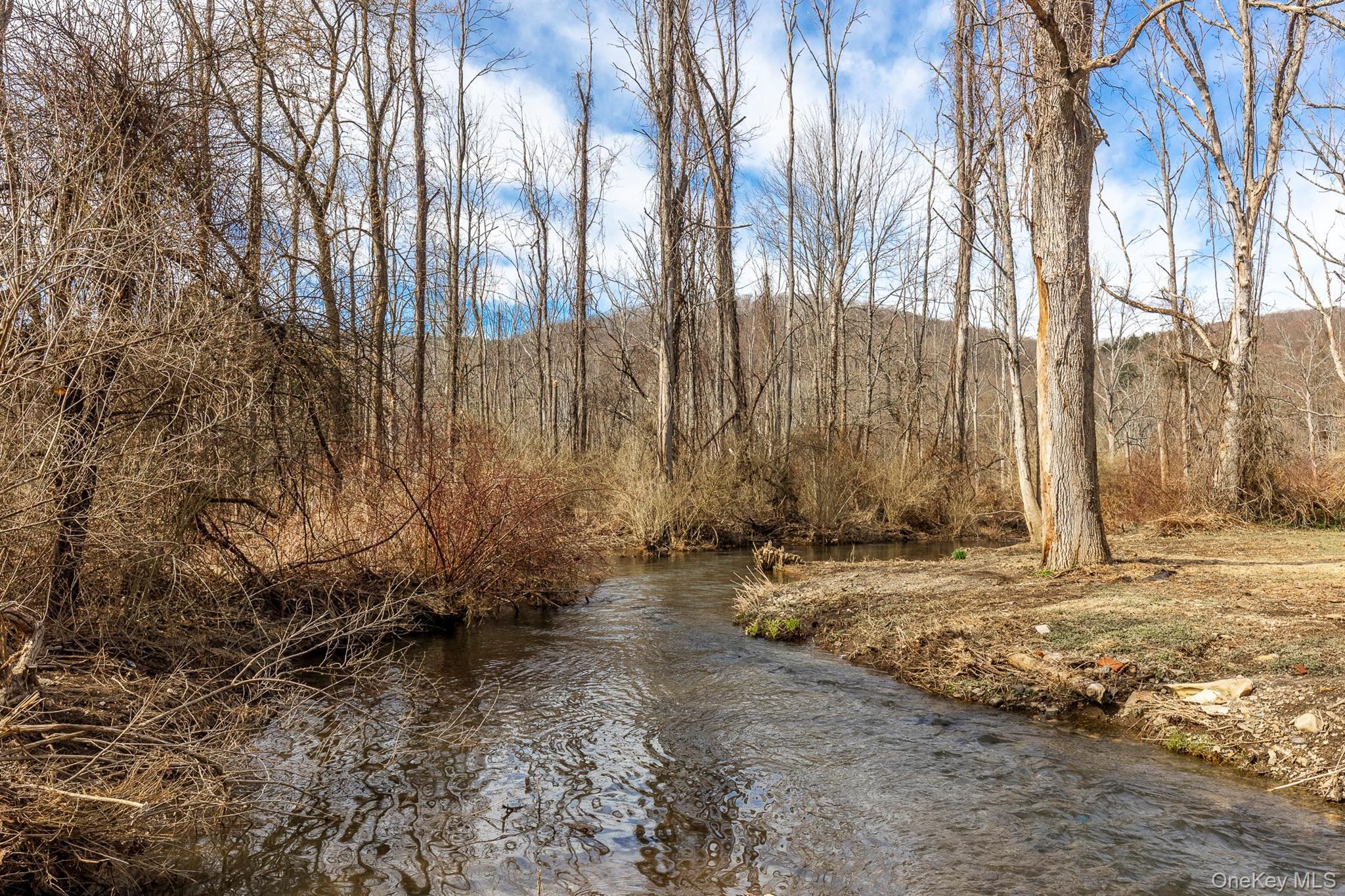 Single Family Clove Dutchess County, NY 12585, MLS-931593-10