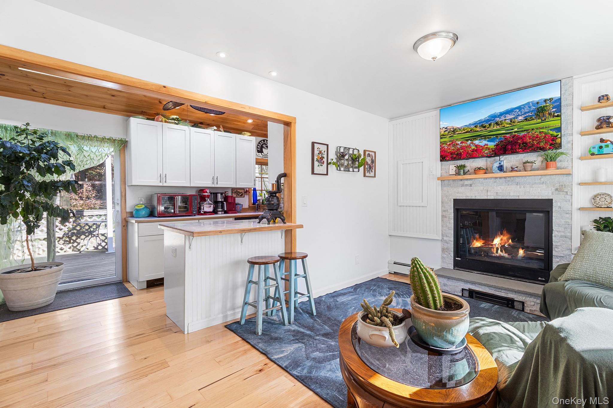 Single Family Newcomb Suffolk County, NY 11961, MLS-931595-3