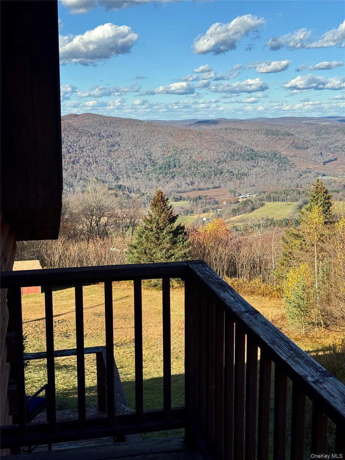 Single Family Marys  Delaware County, NY 13856, MLS-931646-39