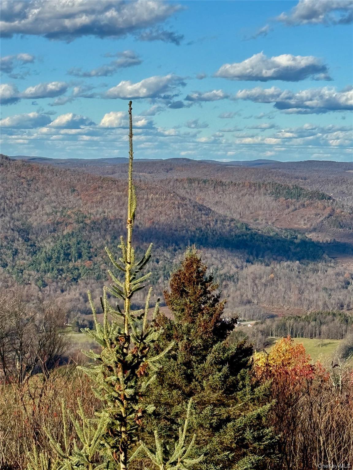 Single Family Marys  Delaware County, NY 13856, MLS-931646-41