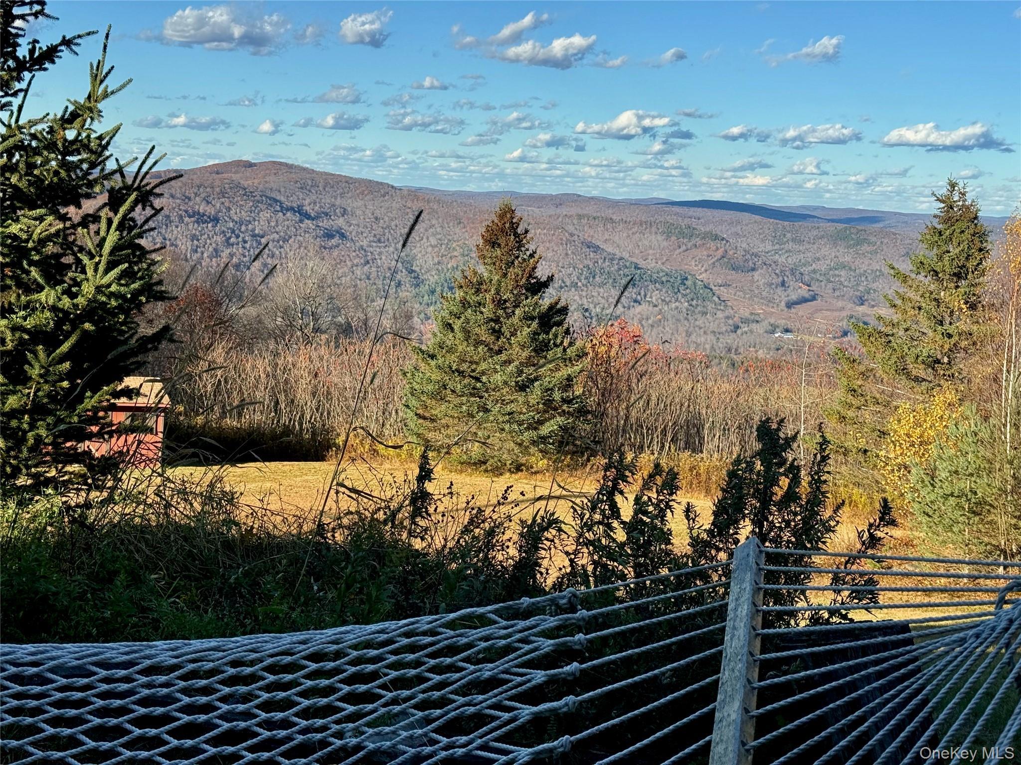 Single Family Marys  Delaware County, NY 13856, MLS-931646-44