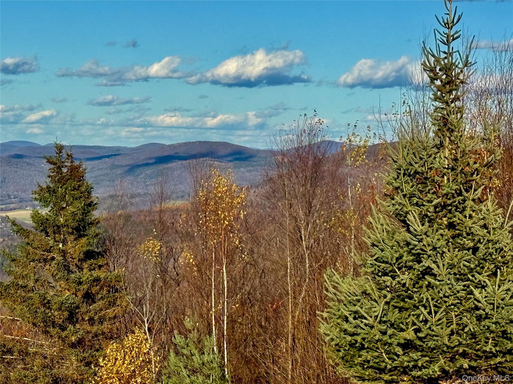 Single Family Marys  Delaware County, NY 13856, MLS-931646-46