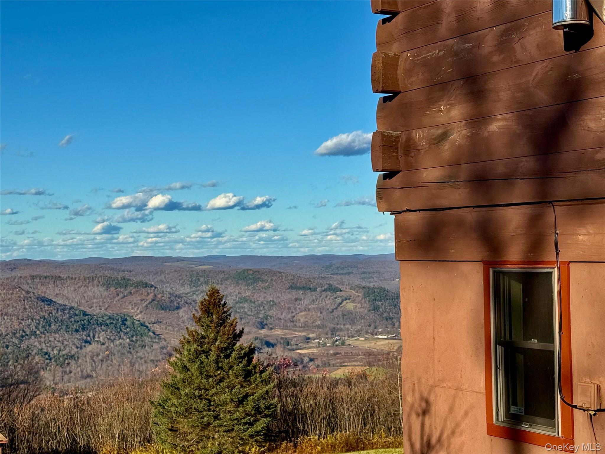 Single Family Marys  Delaware County, NY 13856, MLS-931646-47