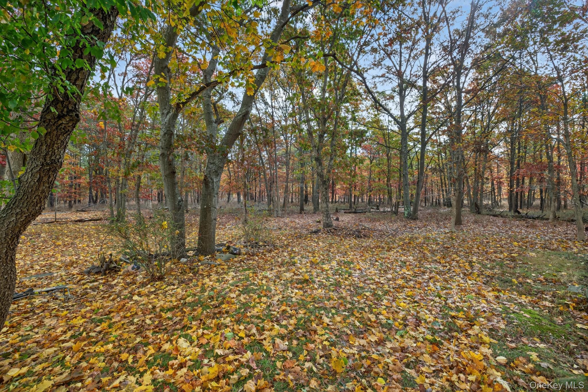 Single Family 8th  Suffolk County, NY 11716, MLS-931704-35