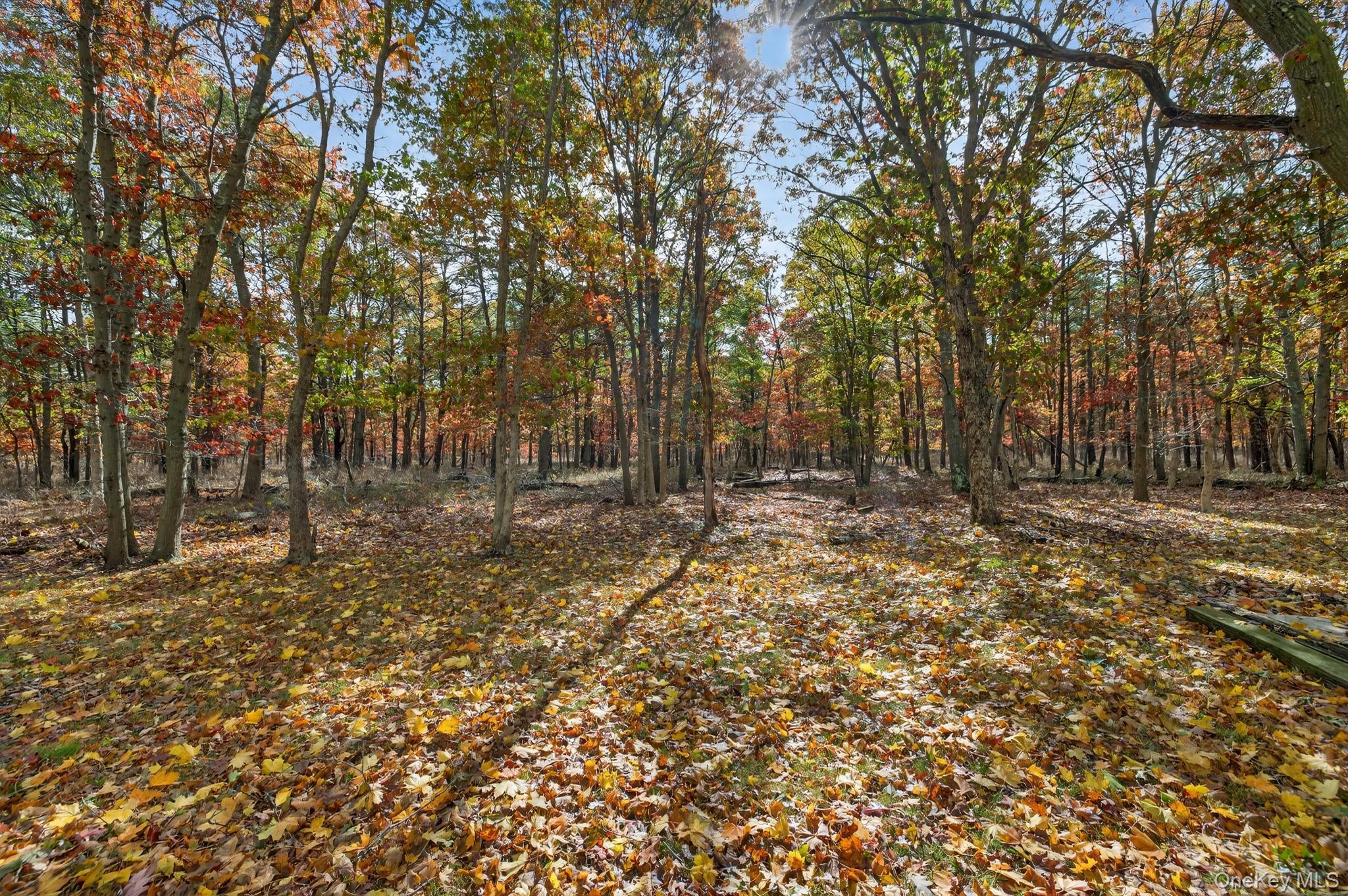 Single Family 8th  Suffolk County, NY 11716, MLS-931704-36