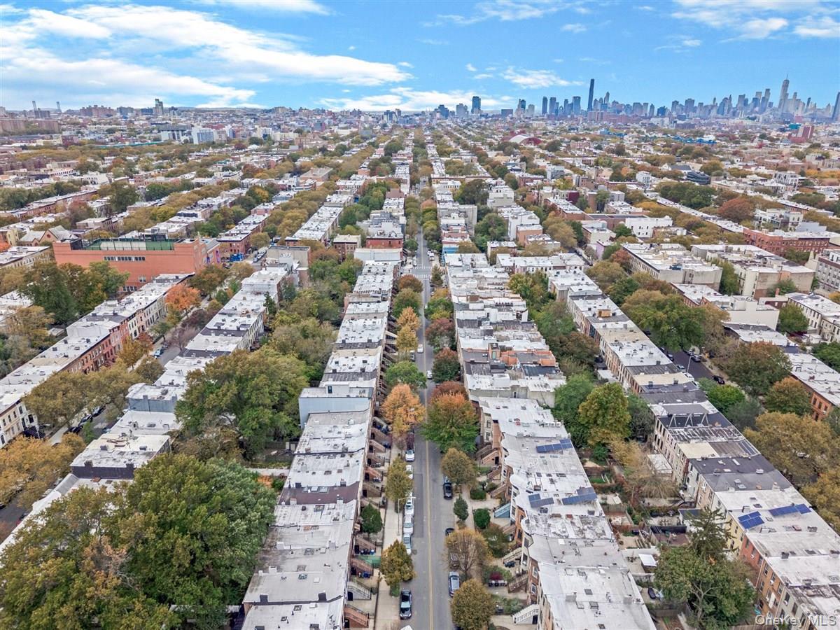 Single Family Halsey  Brooklyn, NY 11233, MLS-931780-28
