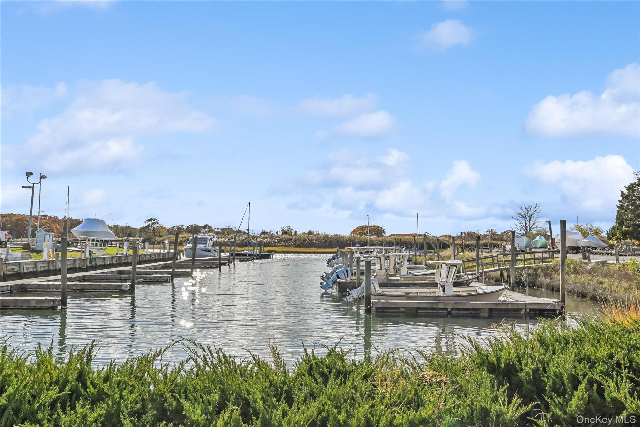 Single Family Creek Suffolk County, NY 11935, MLS-931910-25