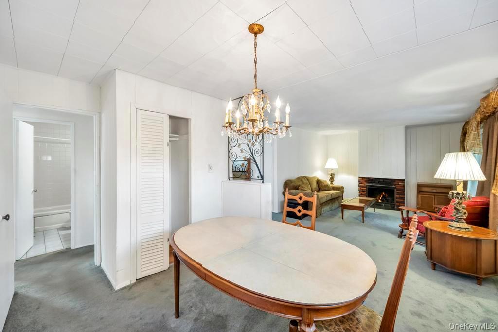 Single Family Hope Nassau County, NY 11803, MLS-931959-10