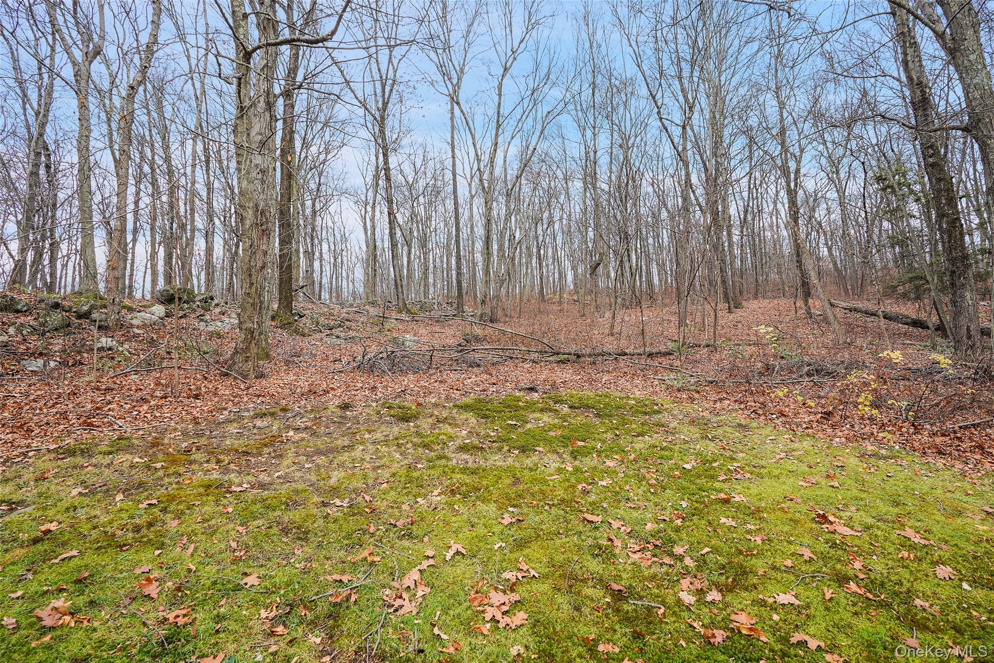 Single Family Van Wyck Lake  Dutchess County, NY 12524, MLS-931964-21